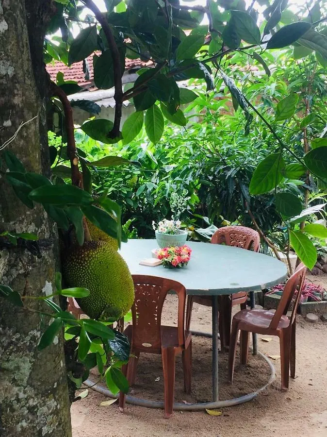 Villa Eco Green Airport Katunayaka Sri Lanka